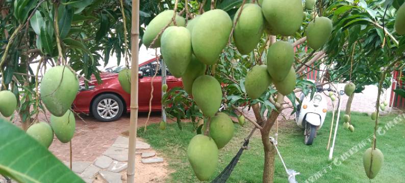 徐闻南极村海涛珊瑚民宿图片