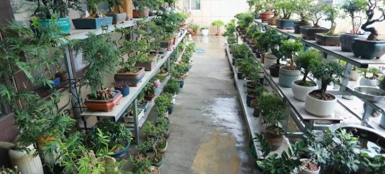 胶州禄丰宾馆图片