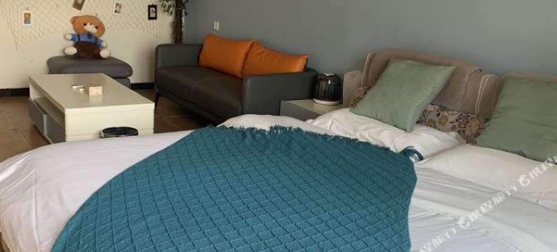 DS蒂艾仕酒店公寓图片