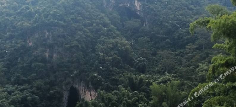 广南大榕树下民宿图片