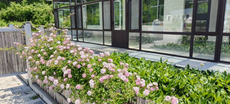 本溪云深不知处民宿图片