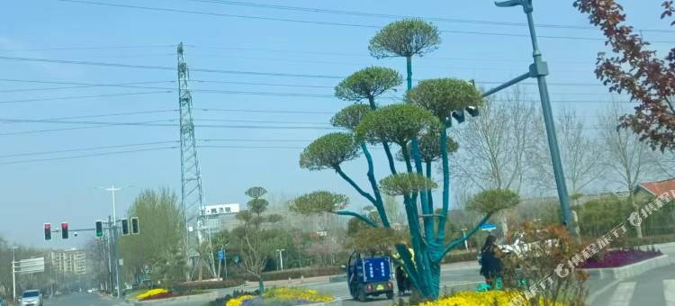 橙子民宿(美巢大厦店)图片