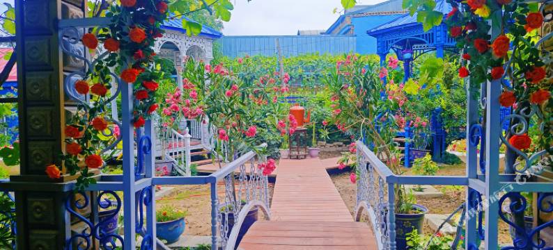 伊宁星辰蓝宫民宿(喀赞其民俗旅游区店)图片