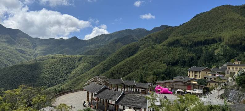 竹林花海民宿(马安竹海景区店)图片