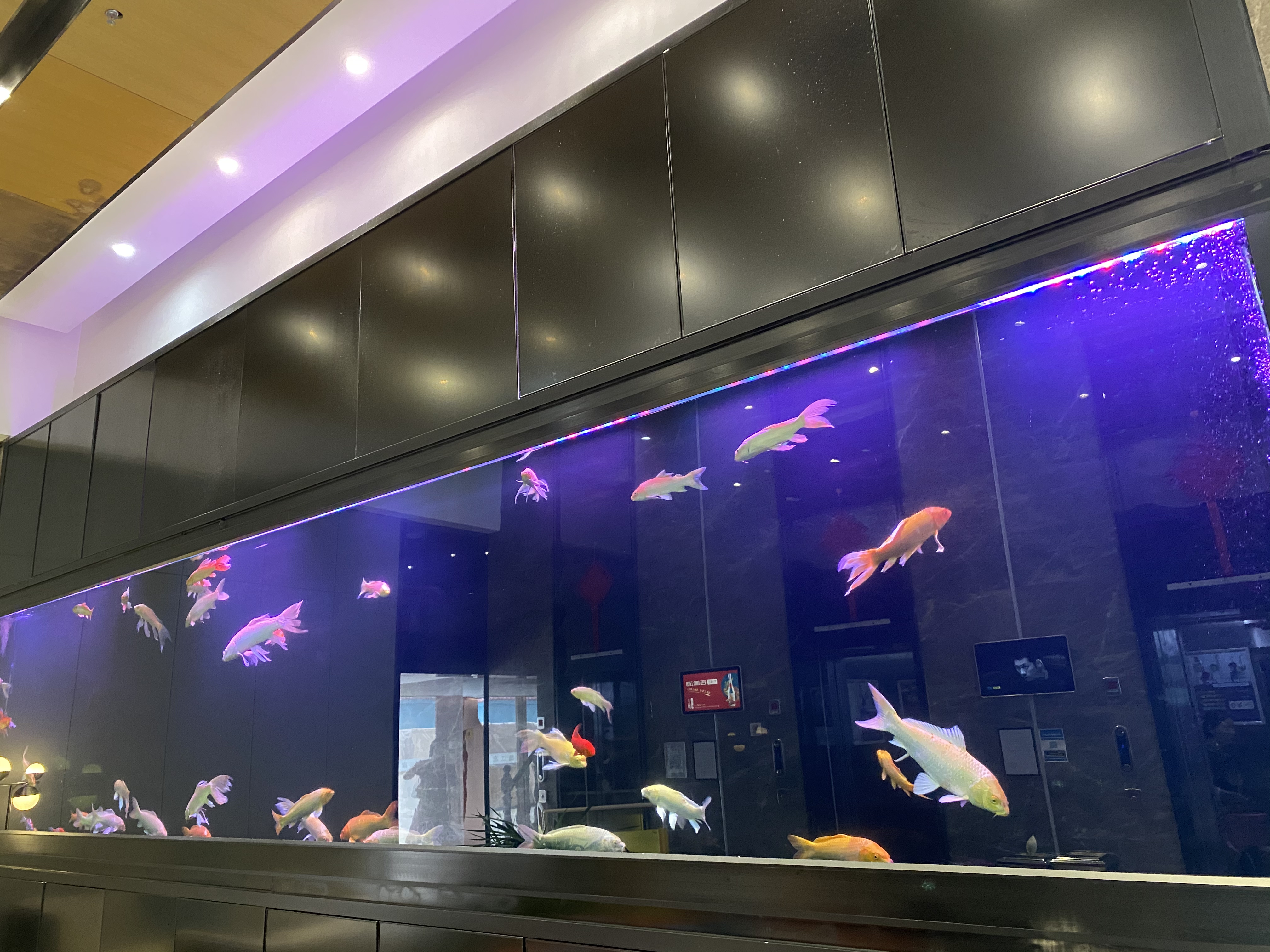 GAOGE INTERNATIONAL HOTELOver view