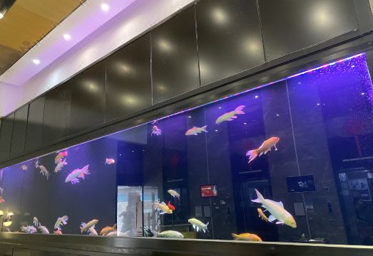 GAOGE INTERNATIONAL HOTELHotel Overview