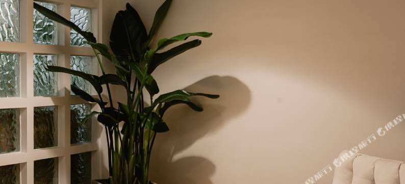 山林悦民宿(南京银杏湖店)图片