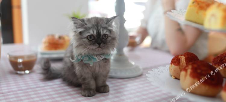 骏怡精选酒店(无锡高铁东站店)图片