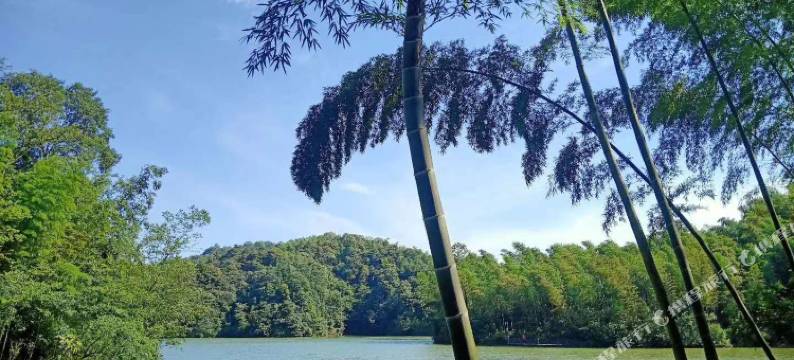 赤水天岛湖大酒店图片