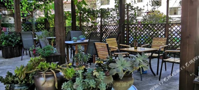 荥经元素客栈(龙苍沟国家森林公园店)图片