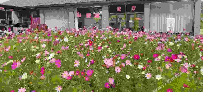 丰宁陈家马铺农家院图片