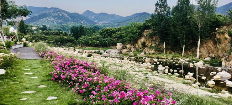 蒙山阿朵民宿图片