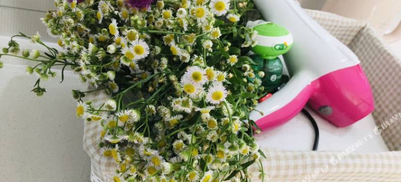 蒙山阿朵民宿图片