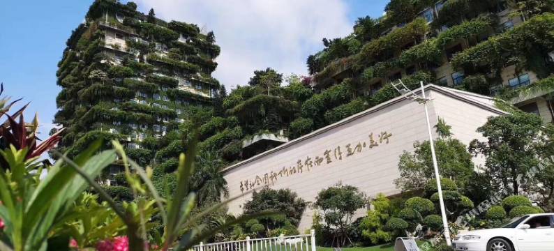 佛山悦心居公寓(顺德碧桂园总部店)图片