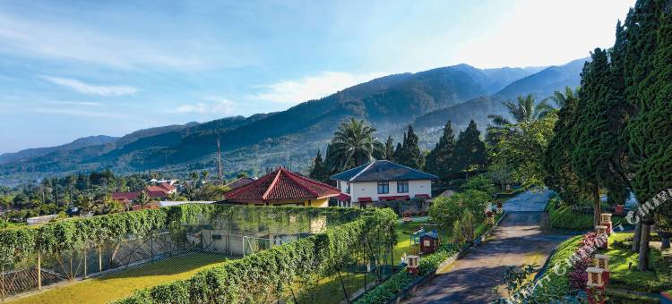 雅加达西萨鲁阿旅馆和别墅(The Jayakarta Cisarua)图片