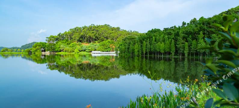 东莞悦海商务酒店图片
