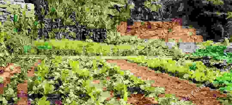 骏怡精选酒店(滦平金山岭长城店)图片