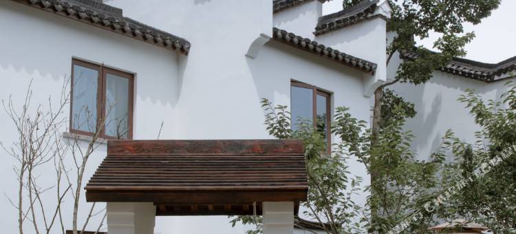 大乐之野(舟山南洞店)图片