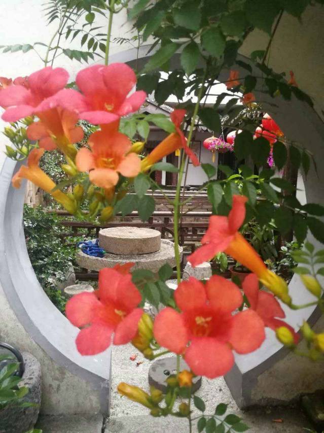 落花老屋・江南水乡・临河景观・中式园林美宿(南浔古镇景区店)图片
