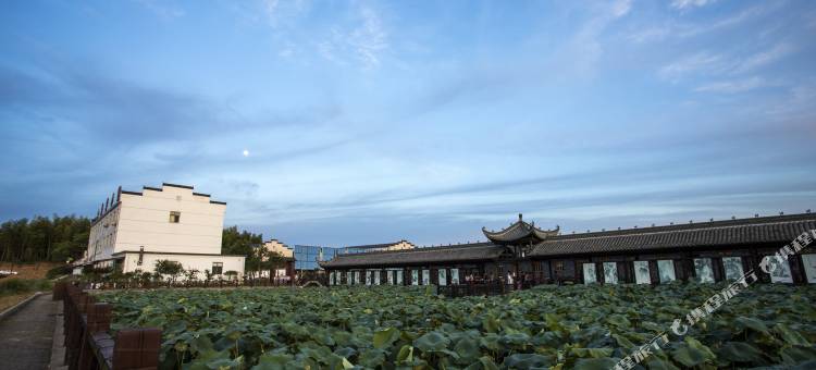 森林温泉酒店图片