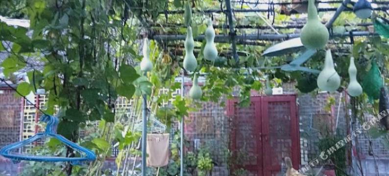 北京郝家大院图片