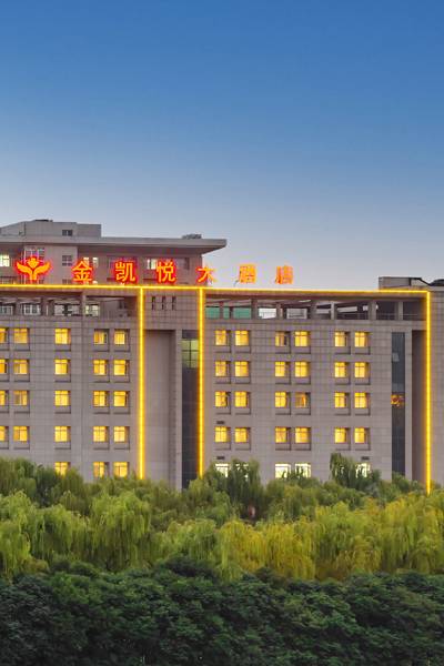金凯悦大酒店(洛阳体育中心店)图片