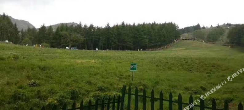 迎客松民宿(驼梁风景区店)图片