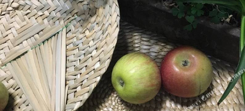 济南真如公寓图片