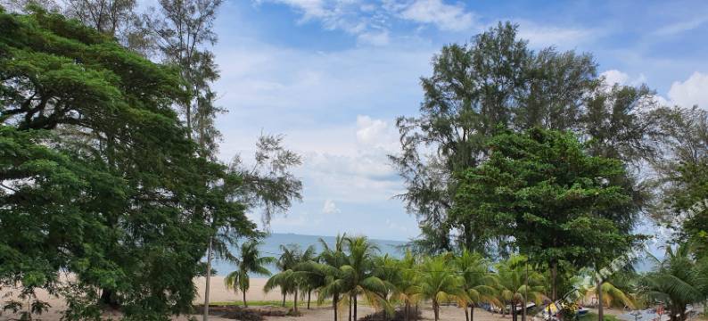 巴都丁宜(By the Sea Beach Luxury Resort - Batu Ferringhi)图片