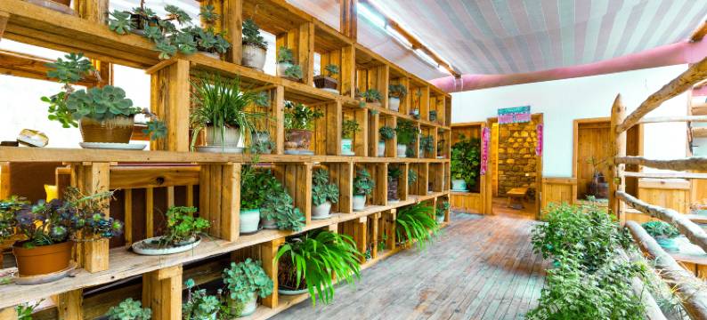 四姑娘山阿里本民宿图片