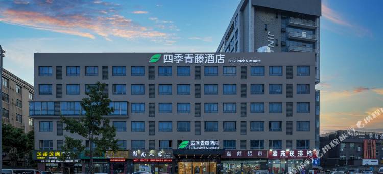 四季青藤酒店(宁波客运中心机场店)图片