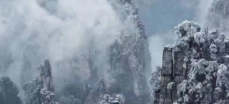 梓木山庄(张家界国家森林公园梓木岗门票站店)图片
