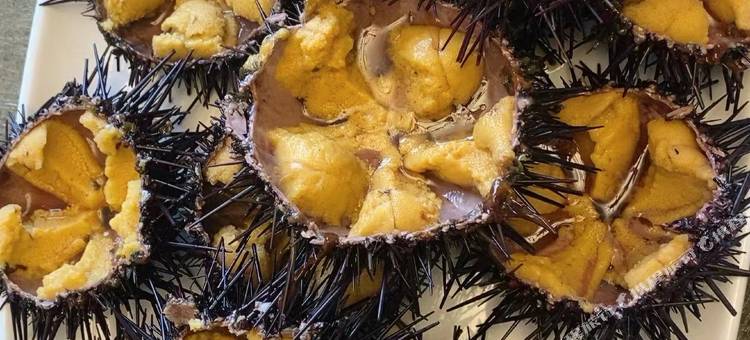 长岛海岛日记民宿(长岛风景区店)图片