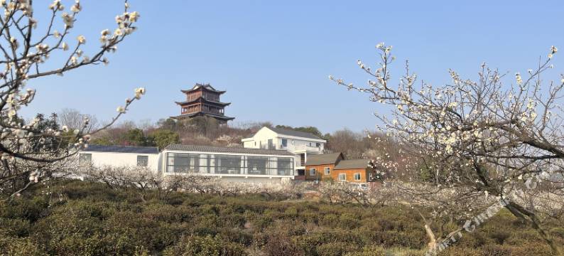 溧水区梅花山民宿图片