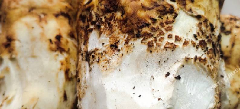 鲁朗扎西德勒藏家小院图片