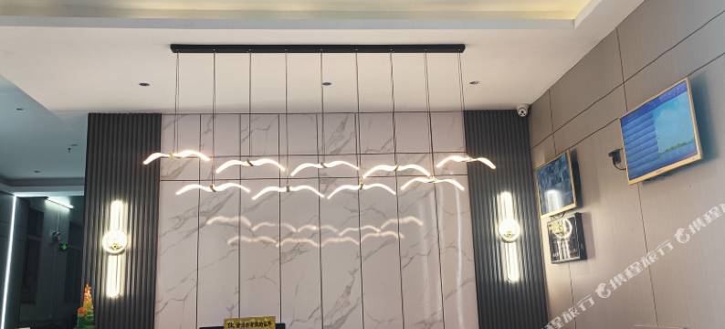 汕头兴华轻奢公寓(澄海中骏世界城店)图片