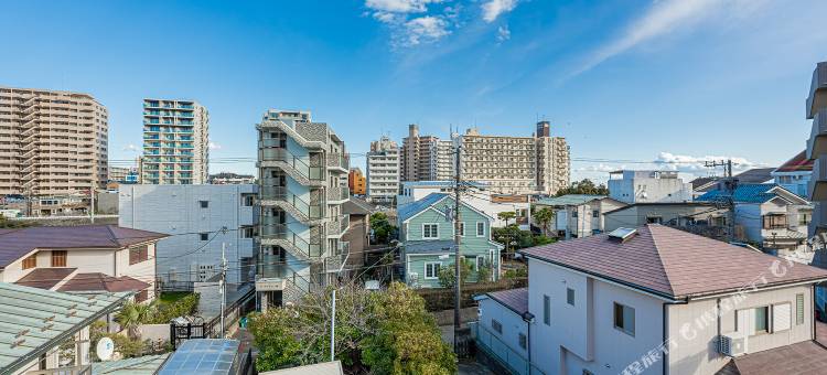 Diary of the sea图片