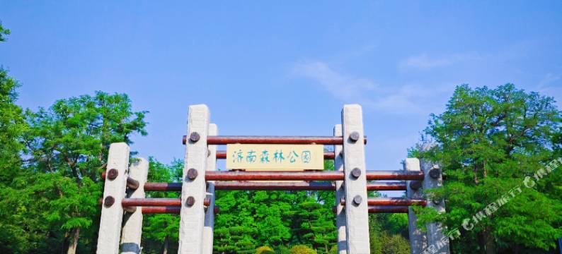济南稻壳青年旅舍(山东国际会展中心店)图片