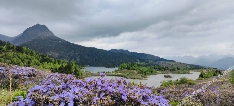 尼汝六妹客栈图片
