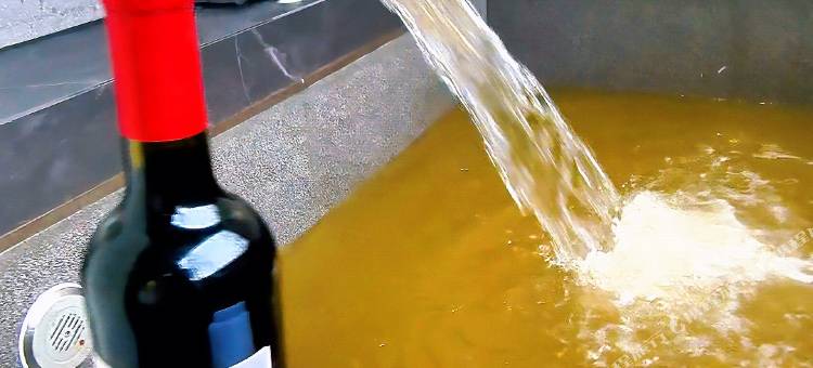 雅安璞澜温泉私汤民宿图片