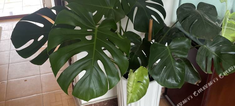 英洁旅馆(理工学院店)图片