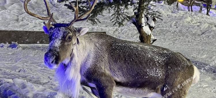 雪景之家酒店(雪乡景区店)图片