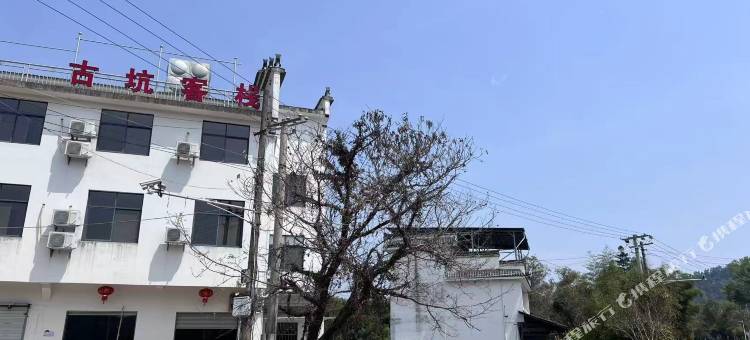 古坑客栈图片