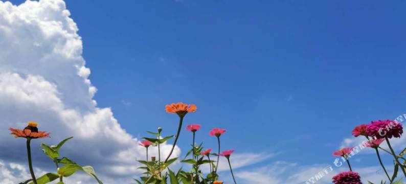 木梨硔山里外婆农家乐图片