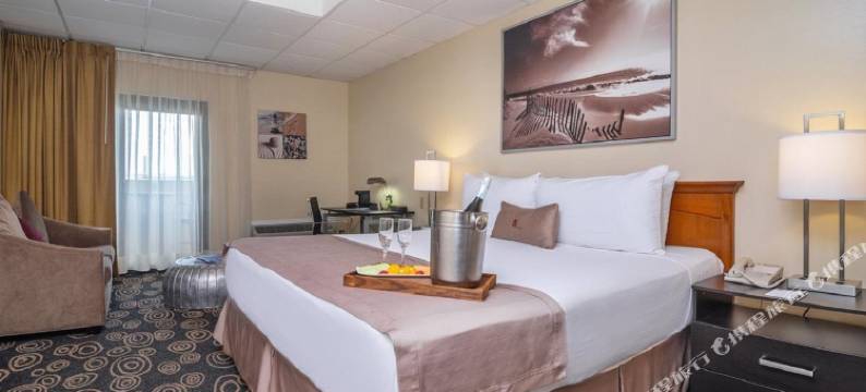 迈阿密机场丽晶酒店(Regency Miami Airport by Sonesta)图片