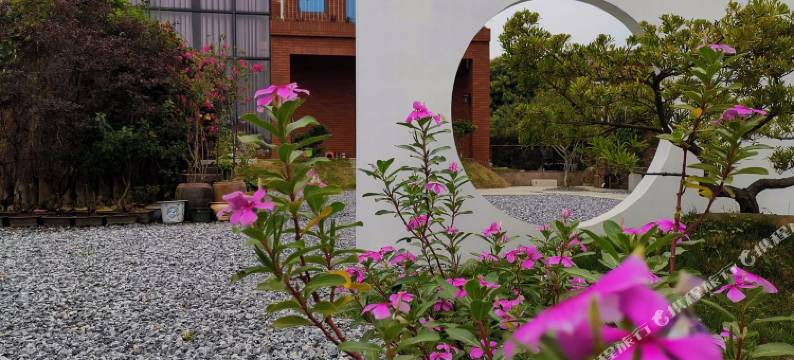 清远红妹客栈图片