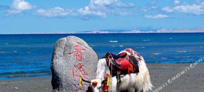 共和黑马河佳缘宾馆图片