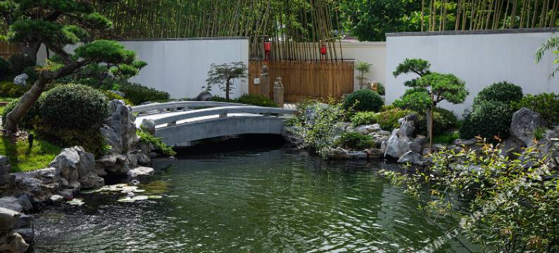 安吉九言鸟巢里酒店图片