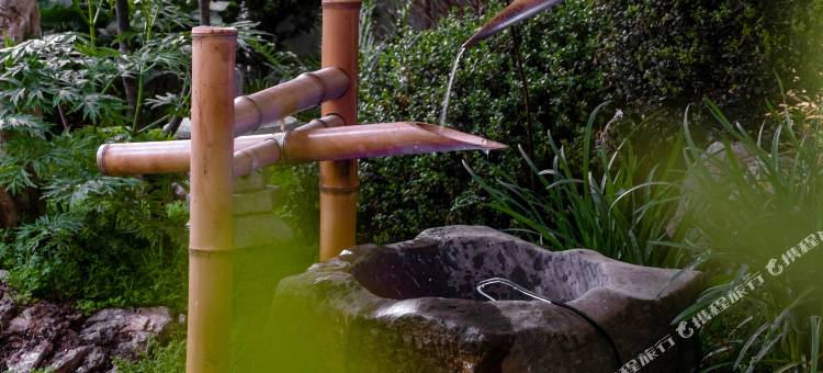 香格里拉一夕一夏供氧民宿图片