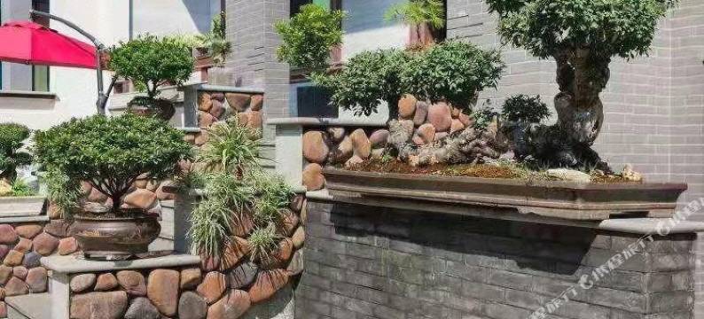 安吉灵峰山厂民宿图片